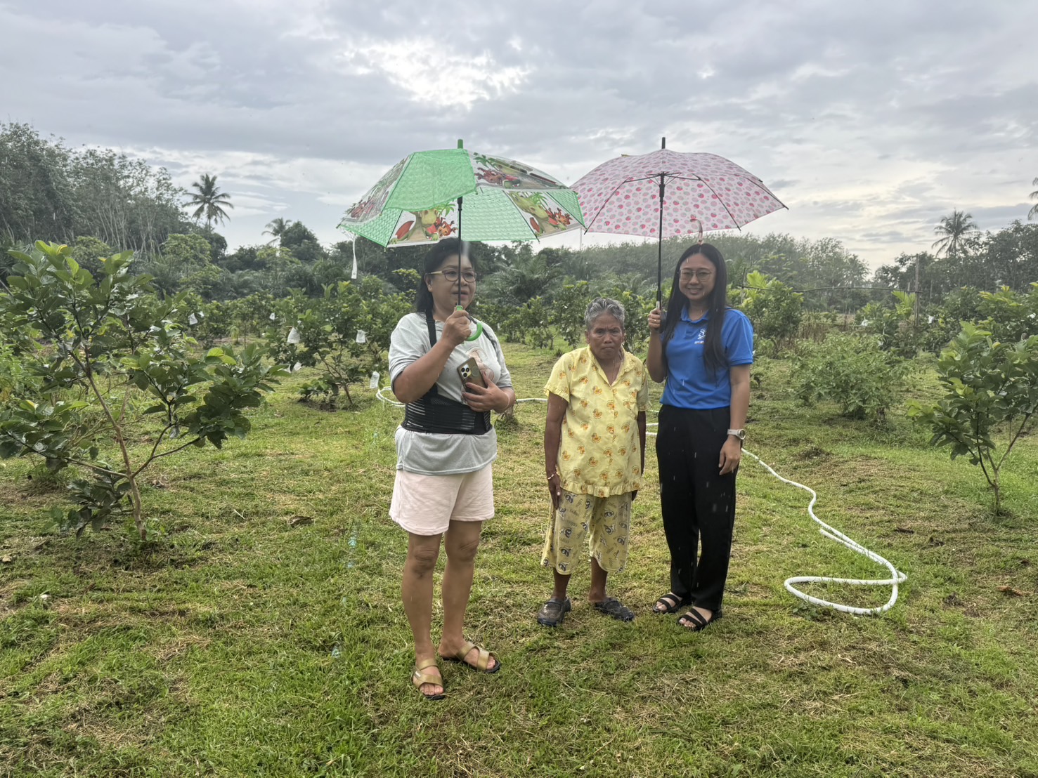 🌱 พช.เทพา ลงพื้นที่ติดตามการดำเนินงานกองทุนพัฒนาบทบาทสตรี โครงการต่อยอดฝรั่งไส้แดง